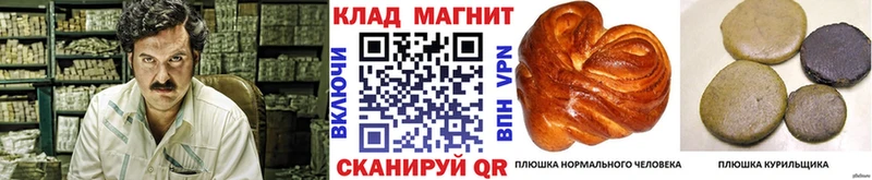 Купить наркотики Ленск ГЕРОИН  Меф  СОЛЬ  Псилоцибиновые грибы  Гашиш  COCAIN 