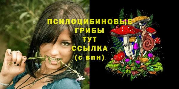 а пвп мука Балахна