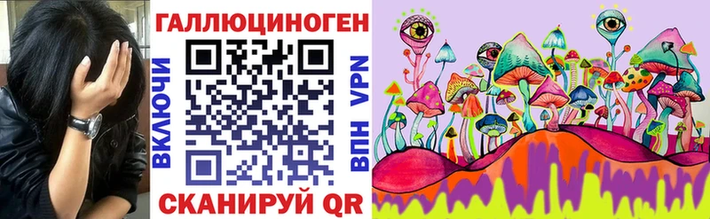Псилоцибиновые грибы Cubensis  Ленск 